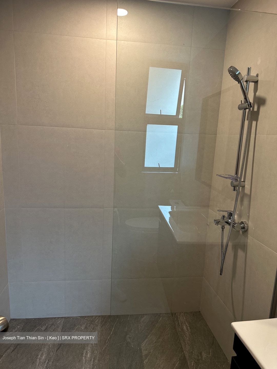 Astor Green (D21), Condominium #607096271